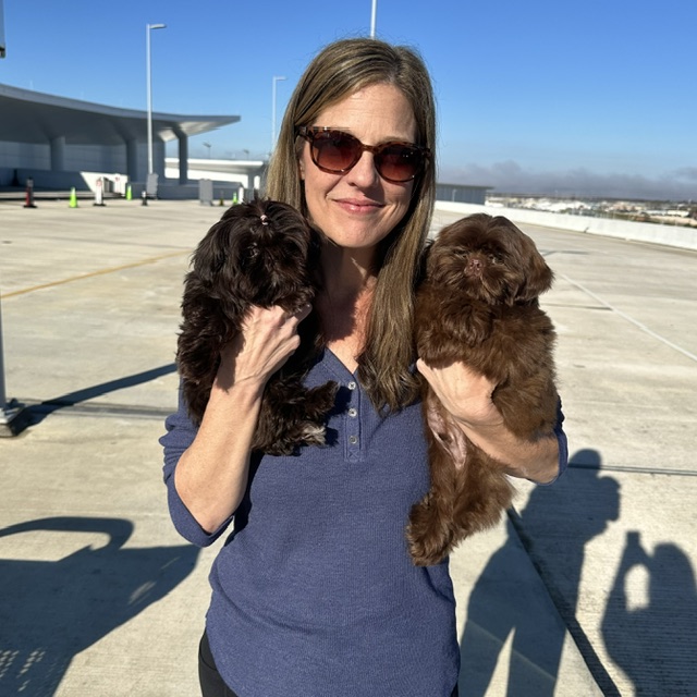 Pet nanny with puppies on arrival at the destination airport